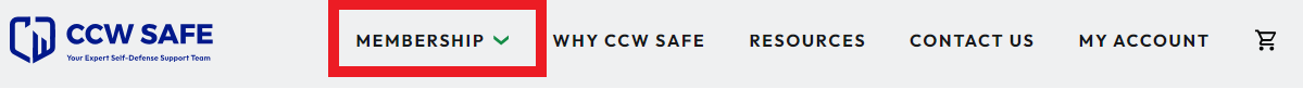 Website header.png